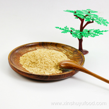 High-quality 100% natural extract ginger powder